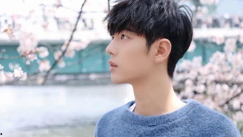 娱乐爆料客最新你问我答,揭秘明星幕后故事，你问我答环节精彩回顾