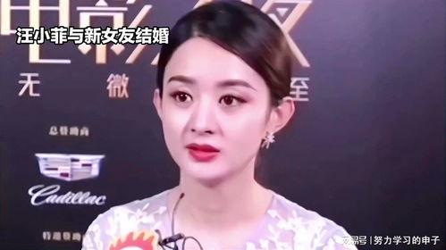 娱乐八卦吃瓜赵丽颖小说在线阅读,揭秘明星背后的故事